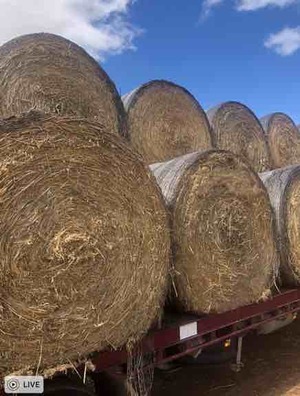 30 x 2016 5x4 Rolls of Oaten Hay 470kg/bale