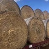 30 x 2016 5x4 Rolls of Oaten Hay 470kg/bale