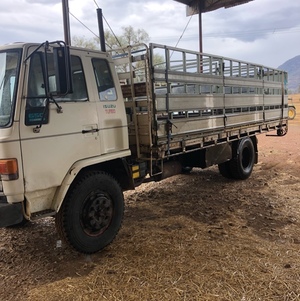 1988 Isuzu FSR11 Truck with stock crate