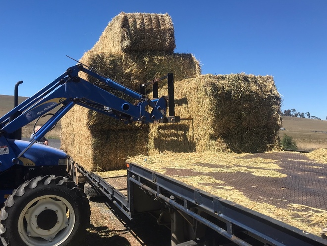 Oaten Hay For Sale in 8x4x3's Delivered Only!!!