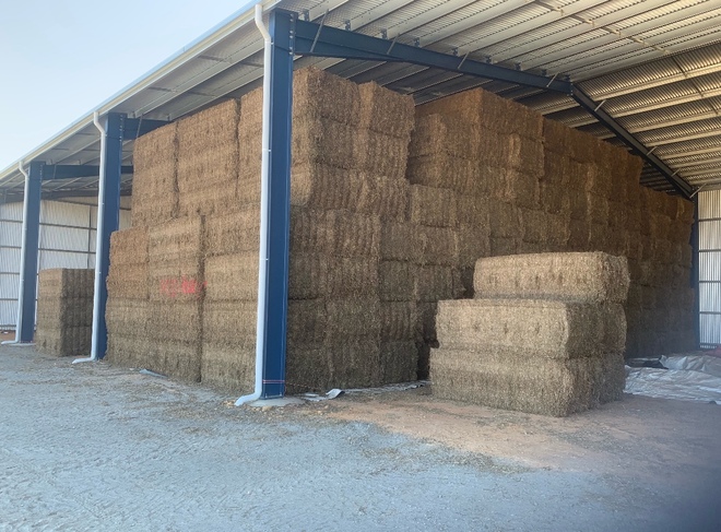 400mt Vetch Hay 8x4x3 Bales