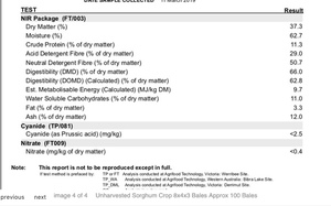 Failed Sorghum Crop 8x4x3 Bales  Approx 80 Bales