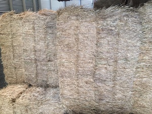 Shedded Wheaten Hay