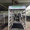 Racewell Super Sheep Handler