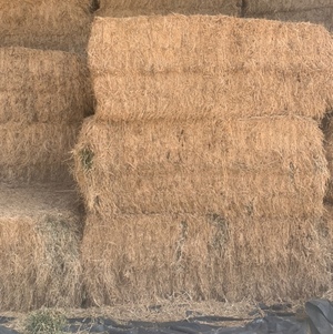 Lucerne/Barley Hay