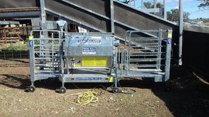 Peak Hill Sheep Immobilizer