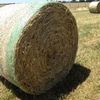 Pasture rolls