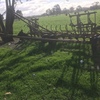 Ryan cultivator bar