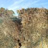 Wheaten Hay 8x4x3 9.9 ME