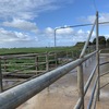 Share Farmer for Cow Milking Station
