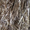 22 Bales of Cereal Hay, 8x3x4 Shedded