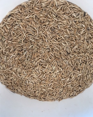 50mt Yarran Oats 'New Season'