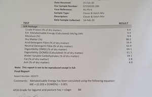 80mt Oaten/Vetch & Clover Mix Hay 600-650kg 8x4x3 Bales