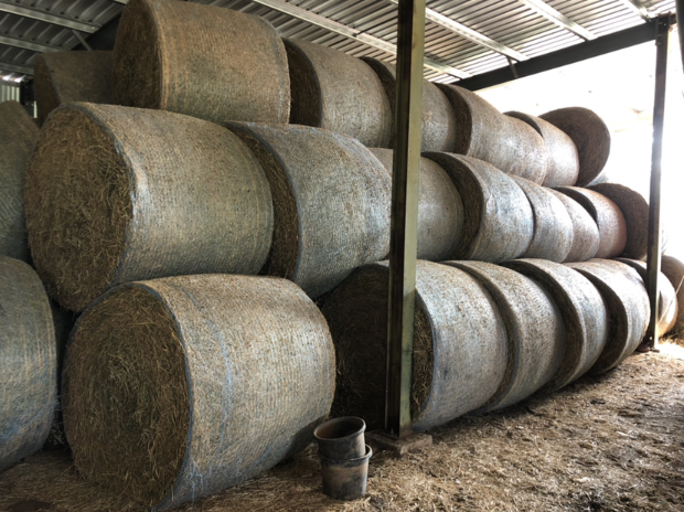 80 Lucerne Round Bales For Sale