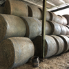 80 Lucerne Round Bales For Sale