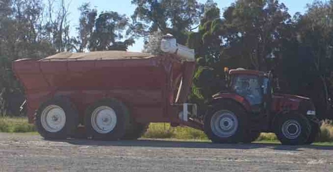 Bordignon Chaser Bin