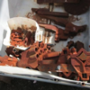 - Double Sowing Tynes and Boots - 