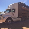 Freightliner Truck and Stock Trailer 