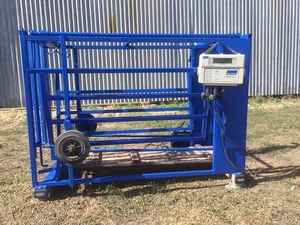 Sheep Weigh Crate