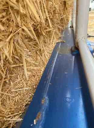 Wheaten Straw 