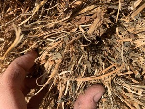 Lucerne Round bales 