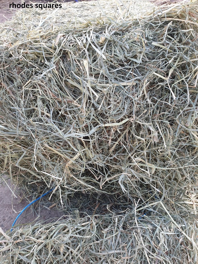 4x4, 4x3 and small squares rhodes grass plus other