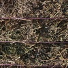 500mt New Season Vetch Hay 650kg 8x4x3 Bales