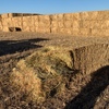 Wheaten Hay   3000 mt + Freight
