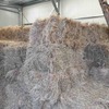 200 Small Square Bales of Pasture Hay