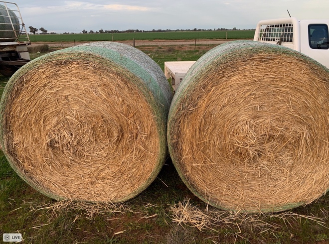 Wheaten Straw 5x4 Rolls