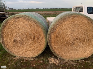 Wheaten Straw 5x4 Rolls