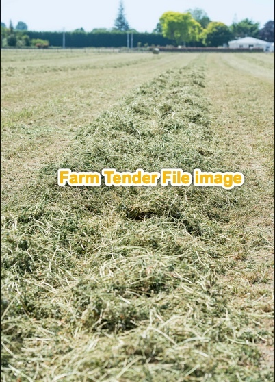 Rye/Clover 8x4x3 Bales  