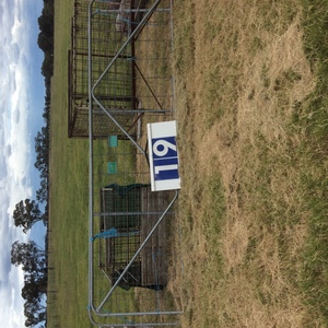 (A129) - NEW Pair of Gates 4.2m