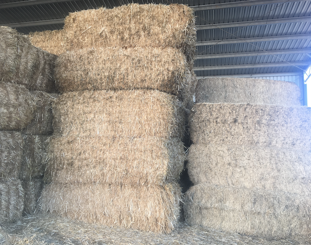 Organic Oaten Straw