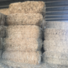 Organic Oaten Straw