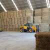 Hay shed for Lease  EOI