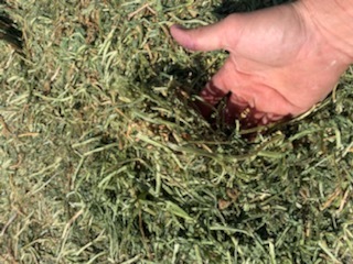 100mt Vetch Hay 8x4x3 Bales @ Sea Lake VIC