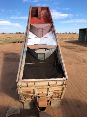 White 36ft long 3 bin grouper trailer - RWC