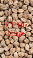 Upto 300mt Desi Chick Peas Wanted