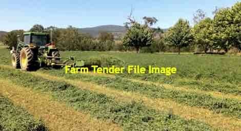 Lucerne Hay 4th Cut 8x4x3 Bales 