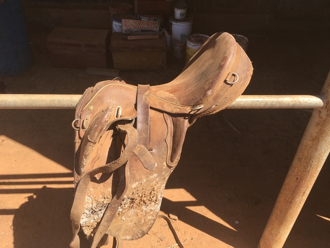 Under Auction - (A132) - Old Stock Saddle 