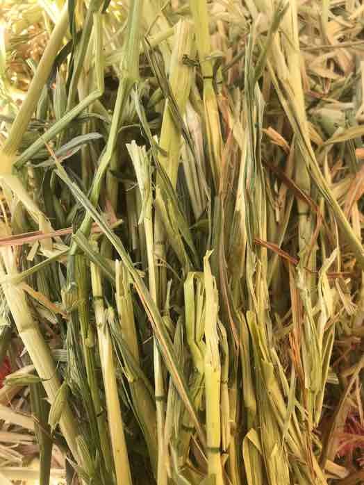 New Season Oaten Hay For Sale 8x4x3 Bales