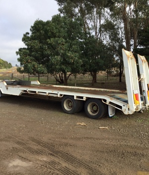dog trailer