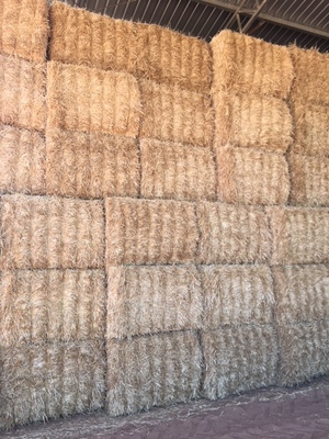  Barley Straw 8x4x3. 2000 bales available now.