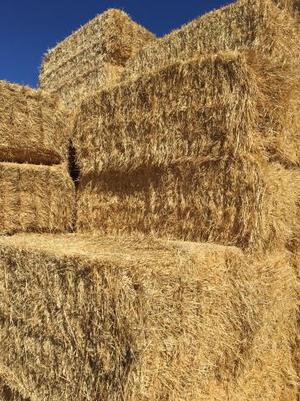 Straw Wheat 8x4x3 Feed Bedding Mulch