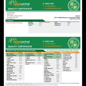 Wheaten Silage Rolls