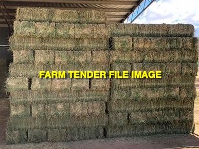 Grassy Lucerne Hay Small Square Bales