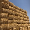 Under Auction - Wheaten Straw 128 - 8x4x3 Bales approx 480 kgs - Sold By The Ton