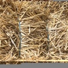 Small bales windrowed Barley Straw for sale
