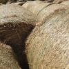 Wheaten Hay Round Bales. Price per Bale + GST.  New Season